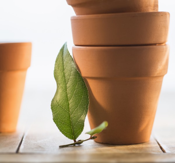 Stack of flower pots and green leaf.