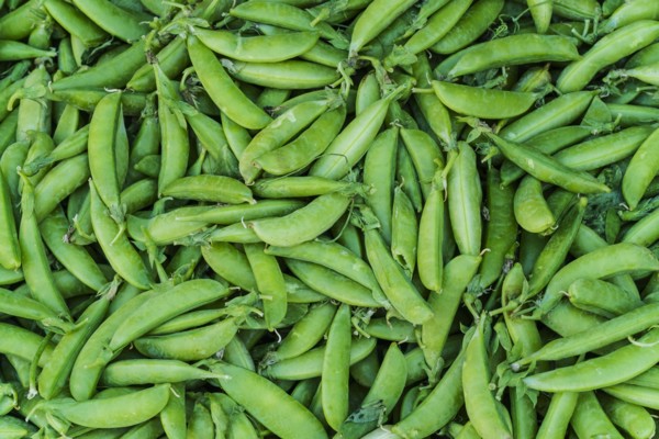Green beans.