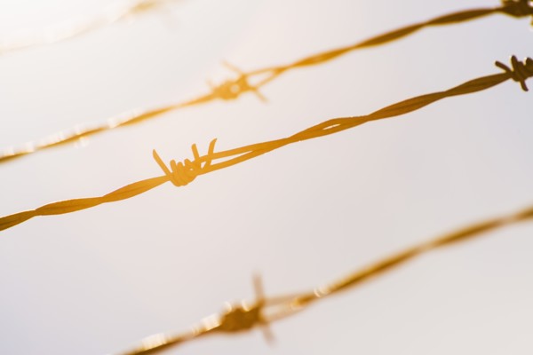 Barbed wire in bright sunshine.