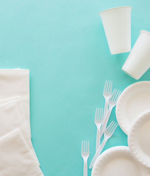 Disposable plates, forks and cups. Photo : Daniel Grill