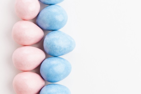 Studio shot of colorful eggs. Photo : Sarah M. Golonka