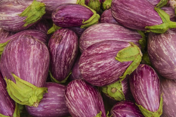 Heap of eggplants.