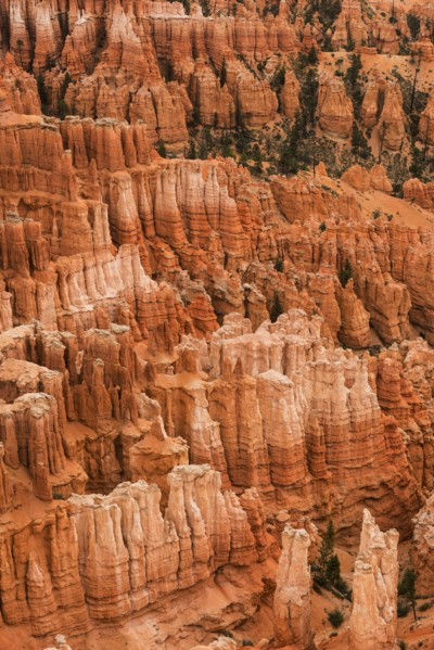 Bryce Canyon.