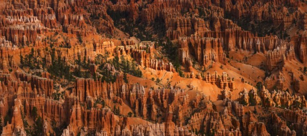 Bryce Canyon.