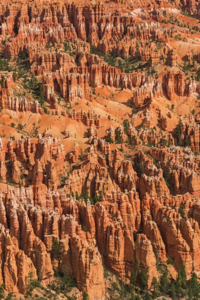 Bryce Canyon.