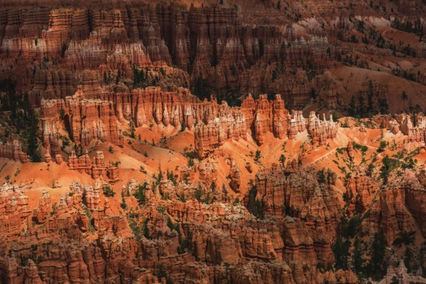 Bryce Canyon.