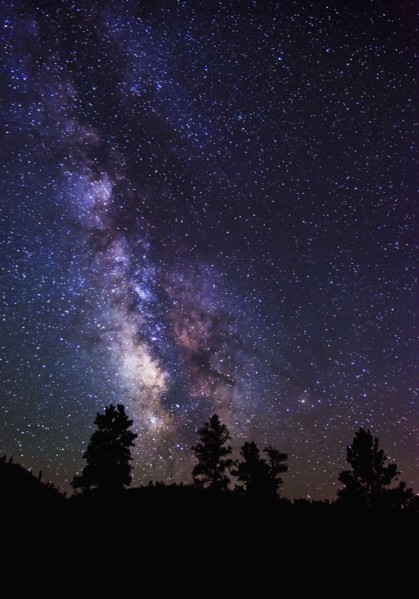 Milky Way and silhouetted trees.