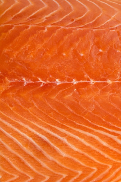 Close up of raw salmon meat, studio shot.