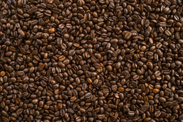 Coffee beans, studio shot.
