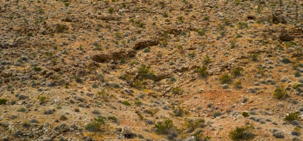 Desert landscape.