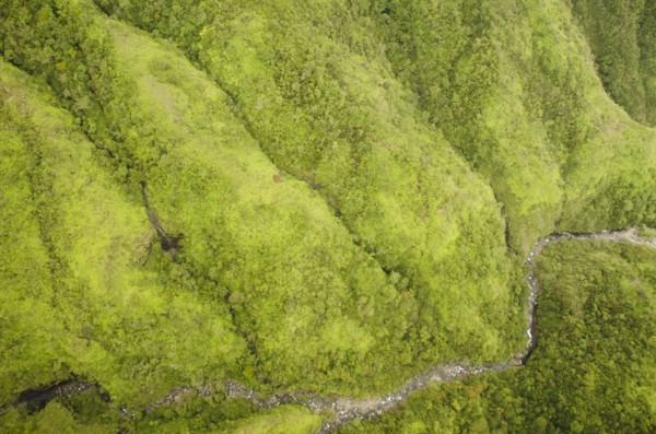 Green mountains. Photo : Jamie Grill
