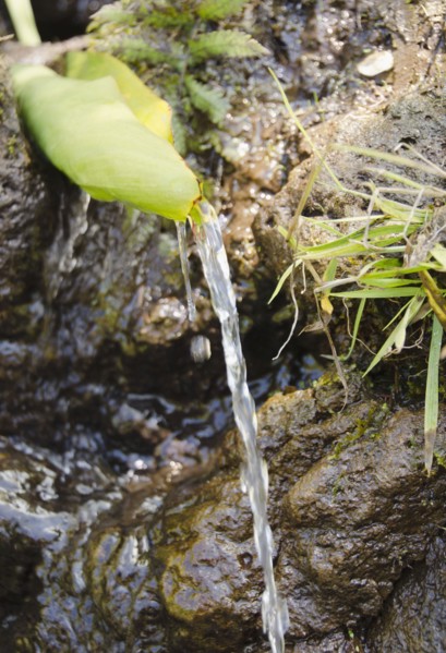 Kalalau Trail, Stream. Photo: Jamie Grill
