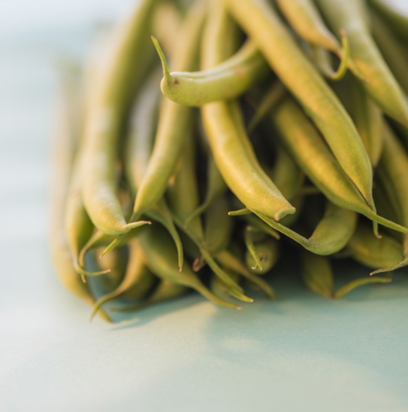 Studio shot of french green beans. Photo : Daniel Grill