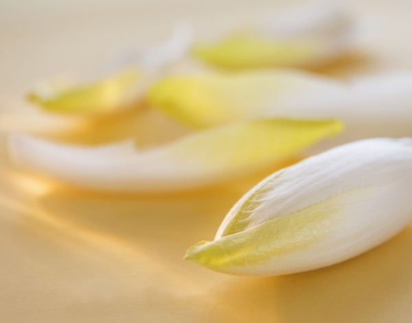 Studio Shot of chicory leaves. Photo: Daniel Grill