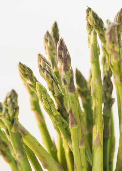 Bunch of asparagus, studio shot. Photo : Daniel Grill