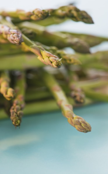 Asparagus, studio shot. Photo : Daniel Grill