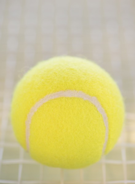 Studio Shot of tennis racket with ball. Photo : Daniel Grill