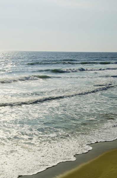 Outer Banks, water's edge. Photo : Tetra Images