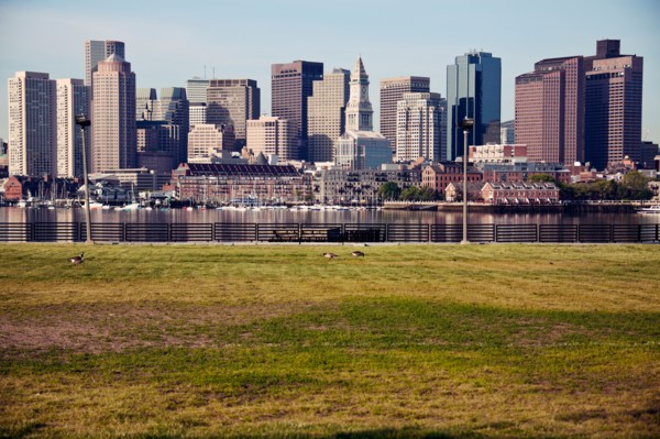 Skyline at sunrise, with grass foreground. Photo : Henryk Sadura