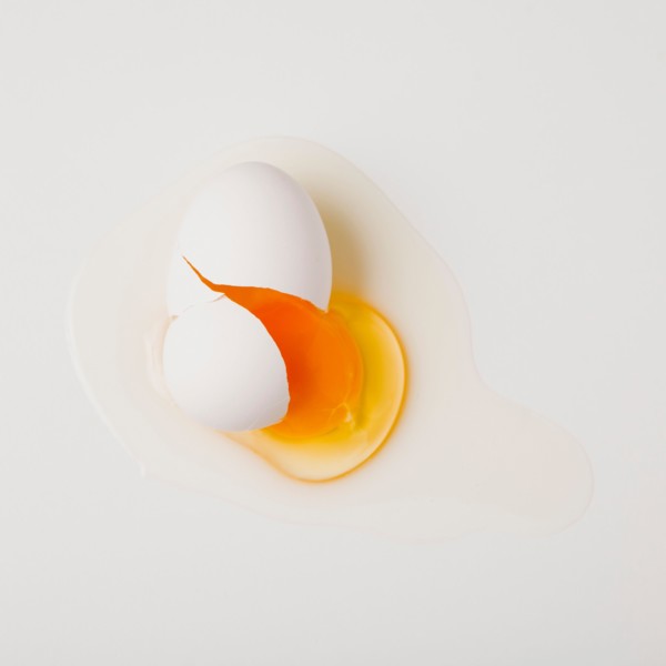 Broken egg. Photo: Jessica Peterson