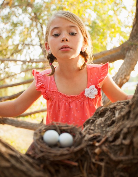 Little girl (6-7) looking at bird's nest