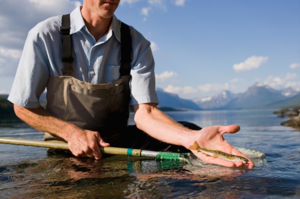 Man holding juvenile western cutthroat trout