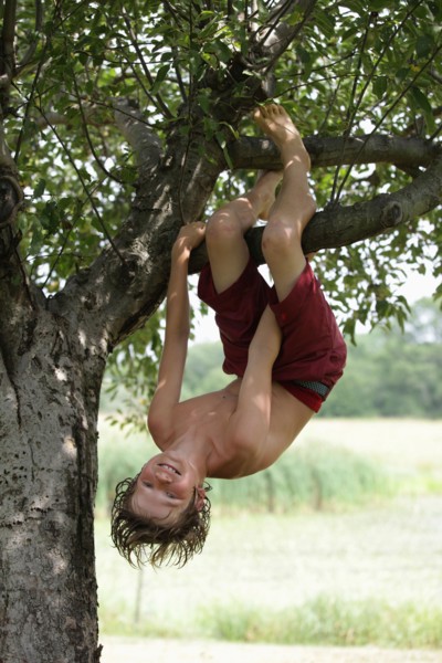 Boy (10-11) hanging upside down on tree branch. Photo: pauline st.denis