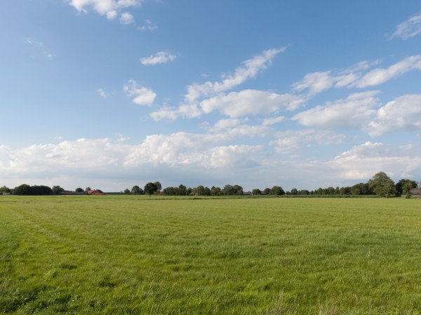 Rural scenery. Photo : Jan Scherders