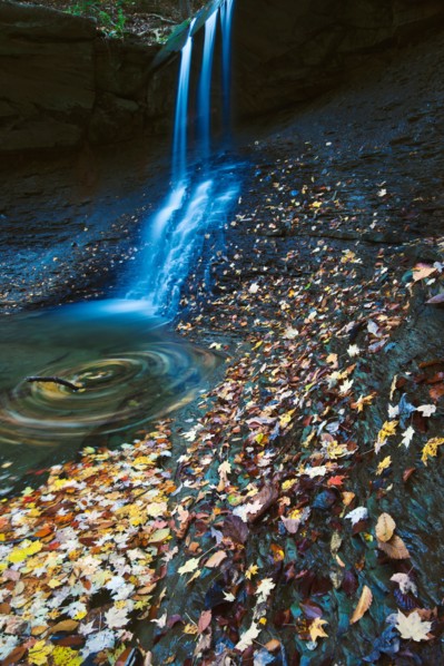 Small waterfalls in forest. Photo : Henryk Sadura