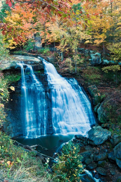 Small waterfalls in forest. Photo : Henryk Sadura