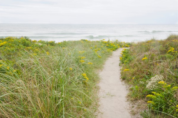 Footpath leading to beach