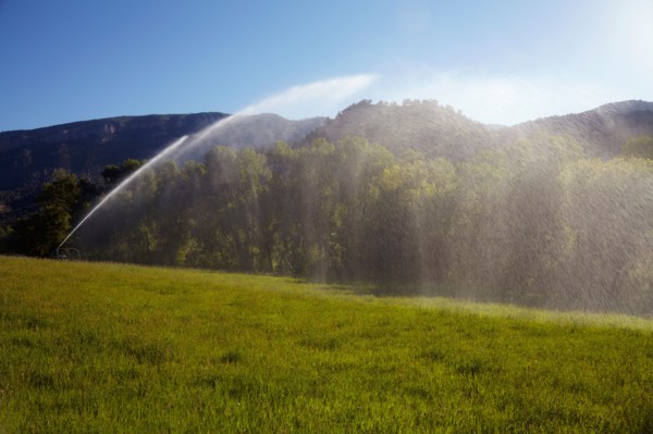 Agricultural sprinkler watering field