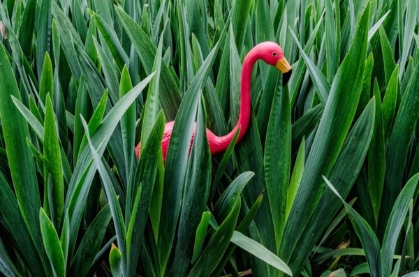 Artificial flamingo in leaves