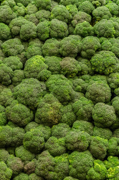 Stack of broccoli