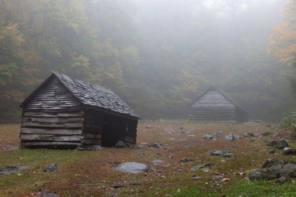 Sheds in foggy glade