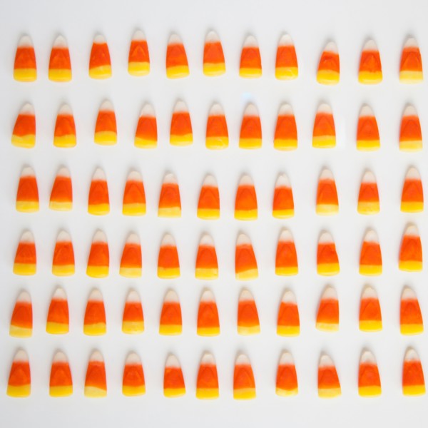 Studio Shot of rows of candy corn