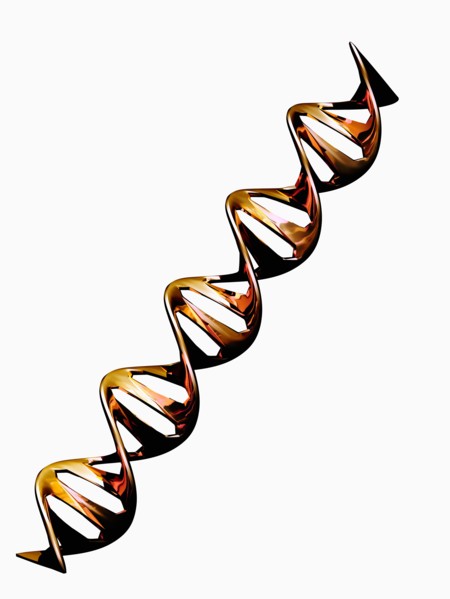 Digitally generated image of double helix