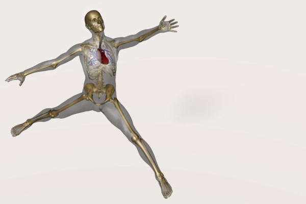 Human skeleton stretching