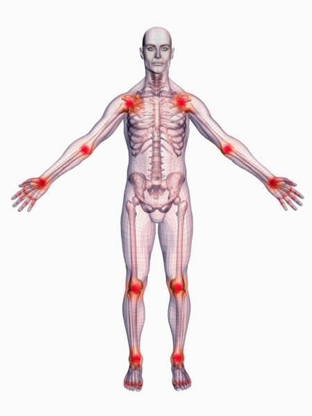 Digitally generated male figure showing body parts