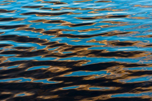 Water surface. Walden Pond, Concord, Massachusetts.