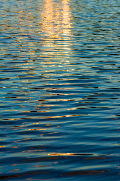 Water surface. Walden Pond, Concord, Massachusetts.
