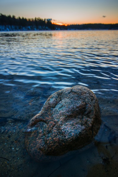 Boulder in water. Walden Pond, Concord, Massachusetts.