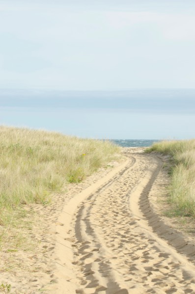 Path with tyre track