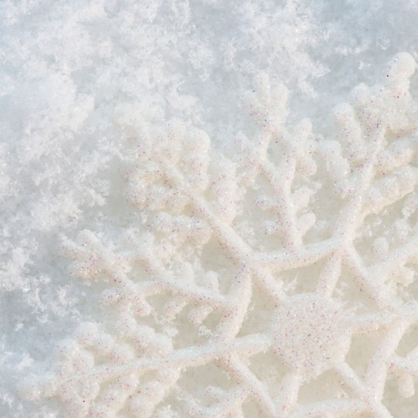 Close-up view of snowflake
