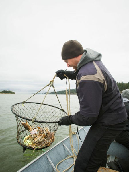 Man pulling net full of crabs
