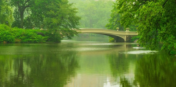 Central Park, New York City. Bridge in central park.