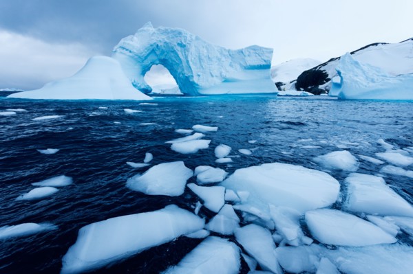 Ice floe floating on water