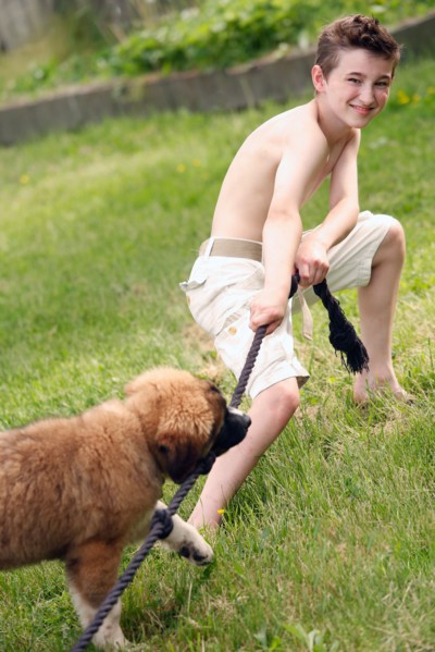 Boy (12-13) and his dog playing with rope