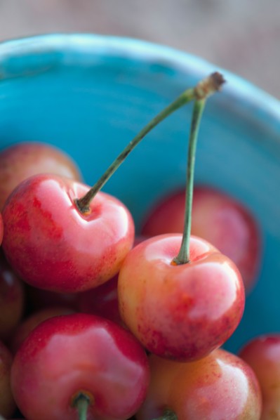 Detail of sour cherries in bowl