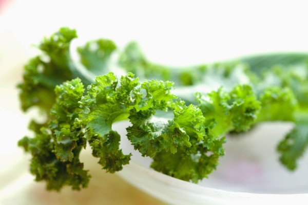 Detail of lettuce leaf